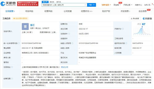 信息系統(tǒng)集成服務(wù)的深度解析